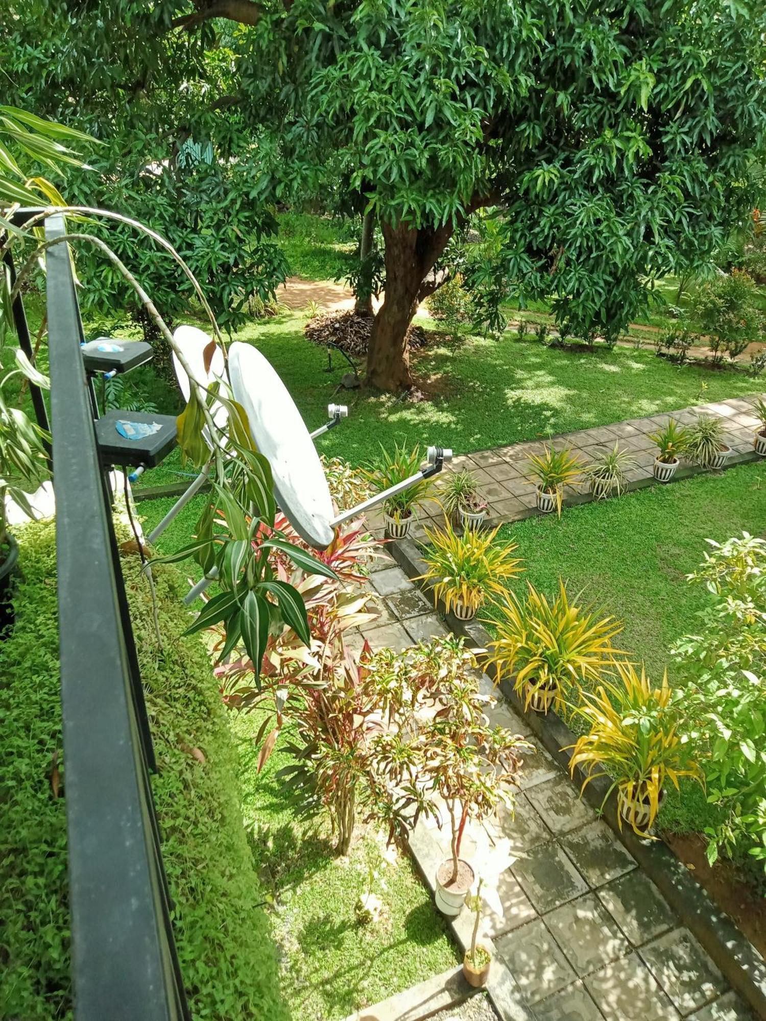 Kithmi Resort Polonnaruwa Exterior foto