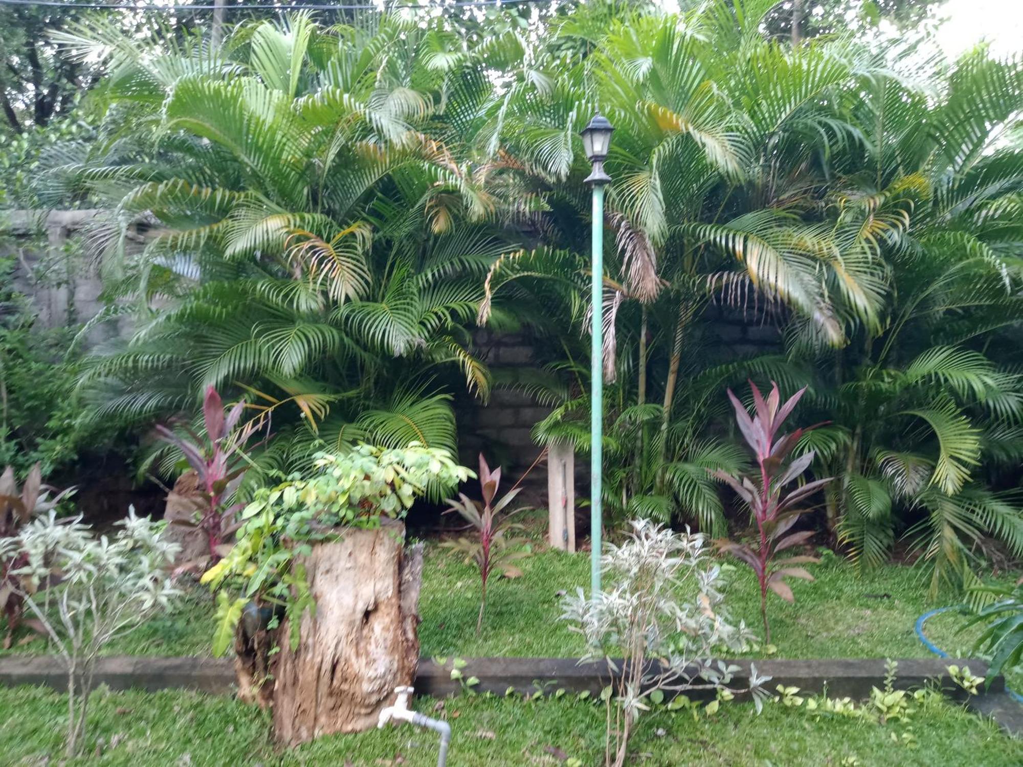 Kithmi Resort Polonnaruwa Exterior foto